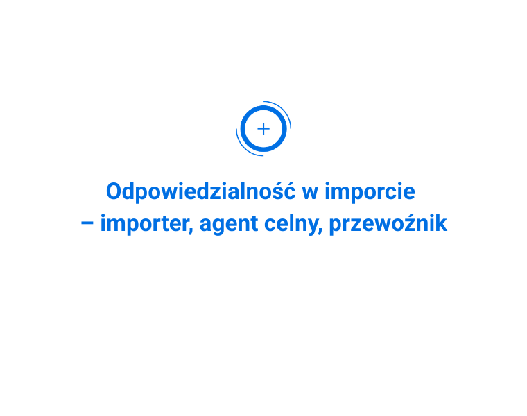 Odpowiedzialność w imporcie – importer, agent celny, przewoźnik